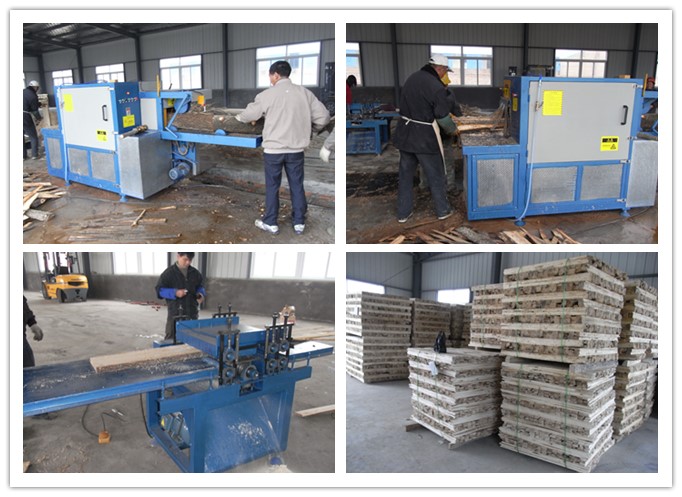 江蘇淮安市楚洲--原木、方木多片鋸、清邊機(jī)工作圖