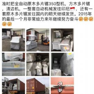 2017年發(fā)貨國外rn400-250型原木多片鋸生產(chǎn)線&nbsp;，鋸木機生產(chǎn)線