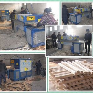 河南-南陽-原木多片鋸350-方木70多片鋸加工現(xiàn)場(chǎng)