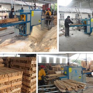 原木多片鋸-圓木多片鋸-200型廣西-桂林-西江鎮(zhèn)加工現場2