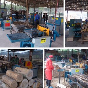原木方木多片鋸安徽蕪湖客戶加工現場