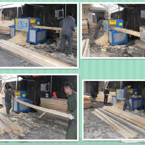 浙江-上海-鋸方木高150原木多片鋸-加工現(xiàn)場(chǎng)